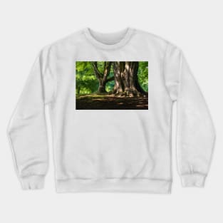 Belfast Woods Crewneck Sweatshirt